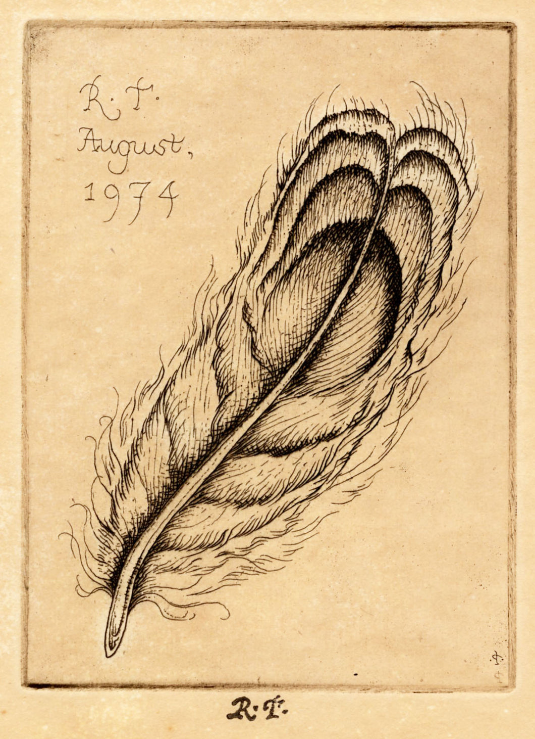 A Feather